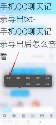 手机QQ聊天记录导出txt-手机QQ聊天记录导出后怎么查看