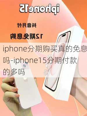 iphone分期购买真的免息吗-iphone15分期付款的多吗