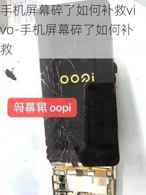 手机屏幕碎了如何补救vivo-手机屏幕碎了如何补救