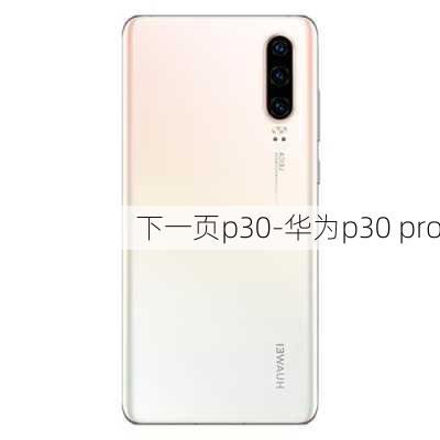 下一页p30-华为p30 pro