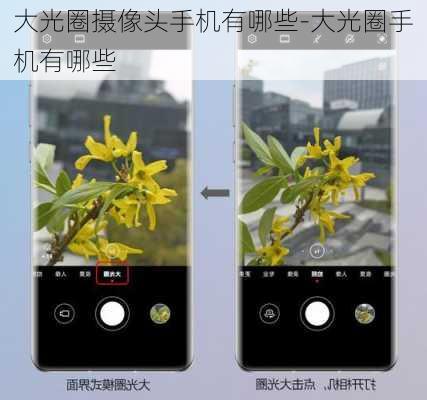 大光圈摄像头手机有哪些-大光圈手机有哪些
