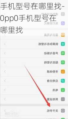 手机型号在哪里找-0pp0手机型号在哪里找