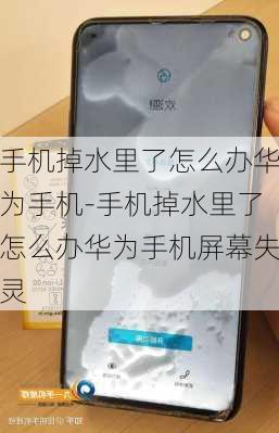 手机掉水里了怎么办华为手机-手机掉水里了怎么办华为手机屏幕失灵