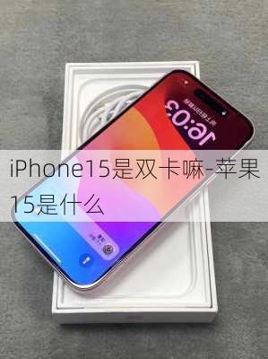 iPhone15是双卡嘛-苹果15是什么