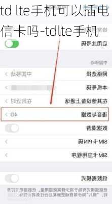 td lte手机可以插电信卡吗-tdlte手机