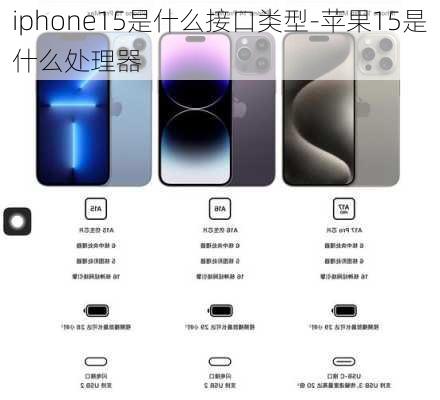 iphone15是什么接口类型-苹果15是什么处理器