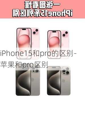 iPhone15和pro的区别-苹果和pro区别