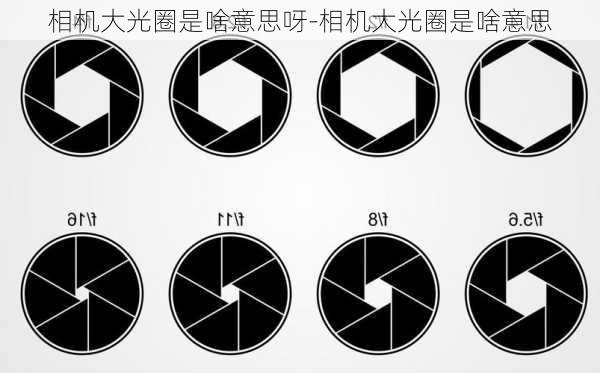 相机大光圈是啥意思呀-相机大光圈是啥意思