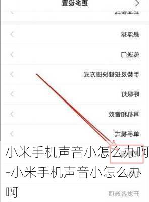 小米手机声音小怎么办啊-小米手机声音小怎么办啊