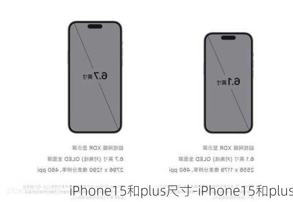 iPhone15和plus尺寸-iPhone15和plus