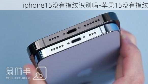 iphone15没有指纹识别吗-苹果15没有指纹