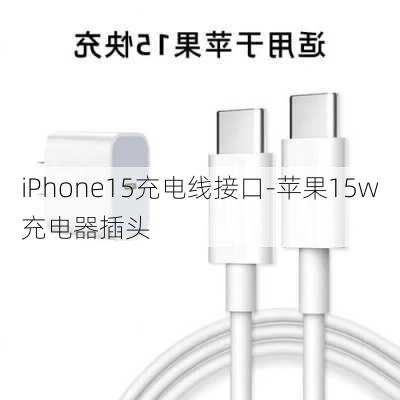 iPhone15充电线接口-苹果15w充电器插头