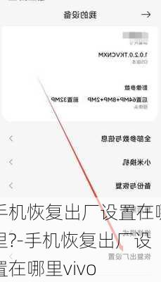 手机恢复出厂设置在哪里?-手机恢复出厂设置在哪里vivo
