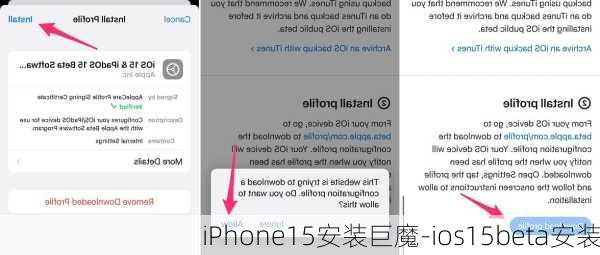 iPhone15安装巨魔-ios15beta安装