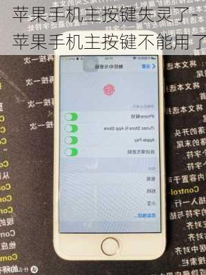 苹果手机主按键失灵了-苹果手机主按键不能用了