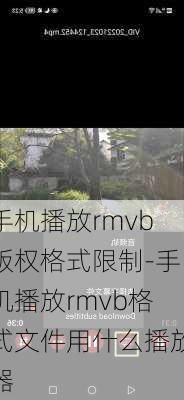 手机播放rmvb版权格式限制-手机播放rmvb格式文件用什么播放器