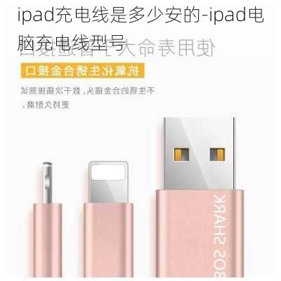 ipad充电线是多少安的-ipad电脑充电线型号