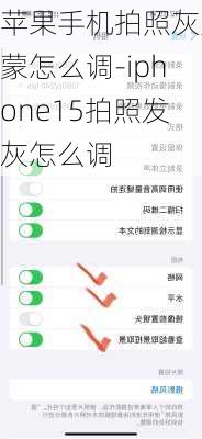 苹果手机拍照灰蒙蒙怎么调-iphone15拍照发灰怎么调