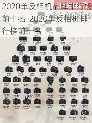 2020单反相机品牌排行榜前十名-2020单反相机排行榜前十名