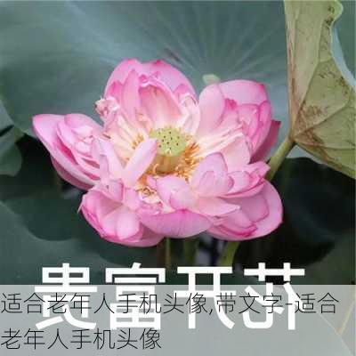 适合老年人手机头像,带文字-适合老年人手机头像