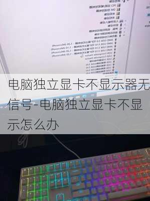 电脑独立显卡不显示器无信号-电脑独立显卡不显示怎么办