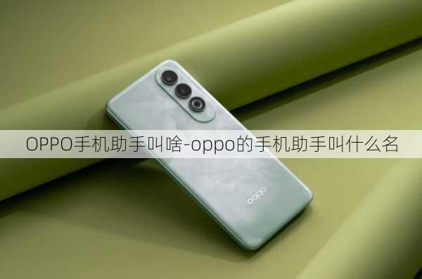 OPPO手机助手叫啥-oppo的手机助手叫什么名