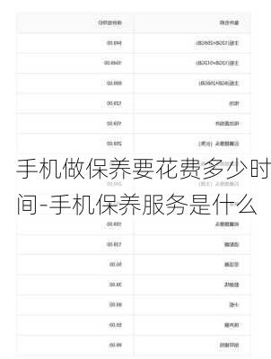 手机做保养要花费多少时间-手机保养服务是什么