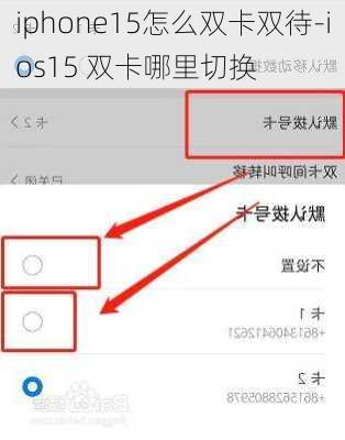 iphone15怎么双卡双待-ios15 双卡哪里切换