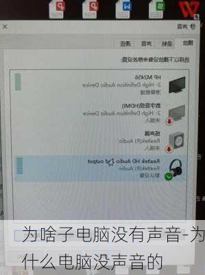 为啥子电脑没有声音-为什么电脑没声音的