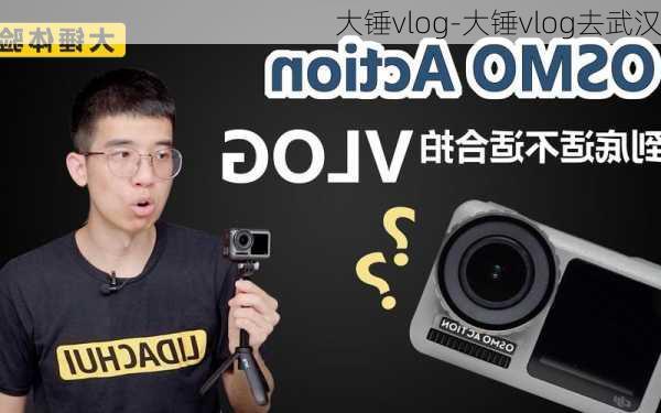 大锤vlog-大锤vlog去武汉