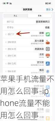 苹果手机流量不能用怎么回事-iphone流量不能用怎么回事