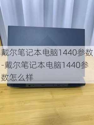 戴尔笔记本电脑1440参数-戴尔笔记本电脑1440参数怎么样