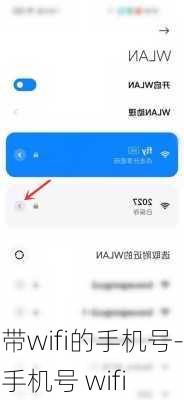 带wifi的手机号-手机号 wifi