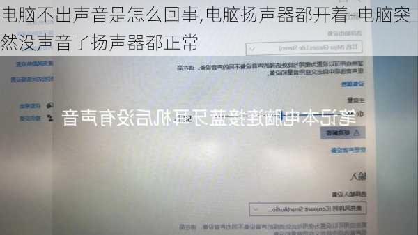 电脑不出声音是怎么回事,电脑扬声器都开着-电脑突然没声音了扬声器都正常