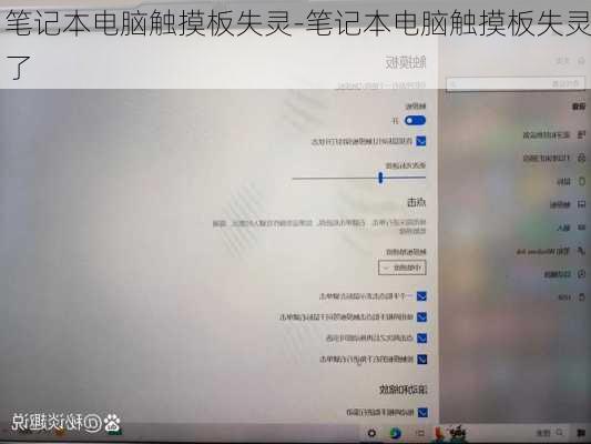 笔记本电脑触摸板失灵-笔记本电脑触摸板失灵了