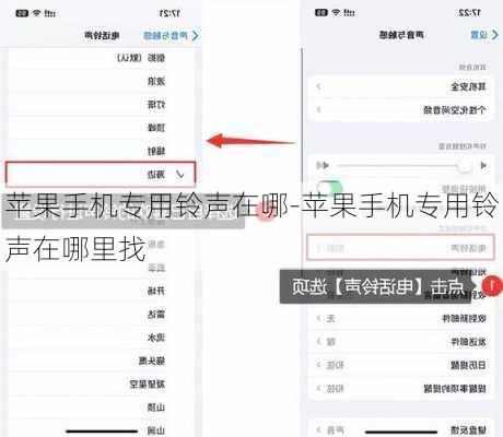 苹果手机专用铃声在哪-苹果手机专用铃声在哪里找