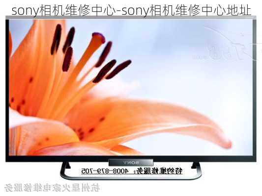 sony相机维修中心-sony相机维修中心地址