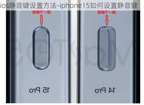 ios静音键设置方法-iphone15如何设置静音键