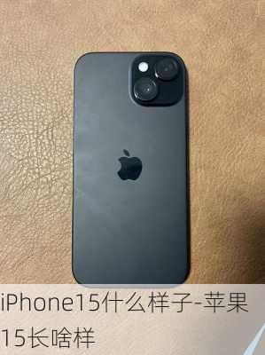 iPhone15什么样子-苹果15长啥样